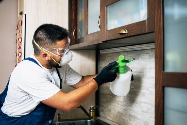 Best Commercial Pest Control Services  in Charlestown, MD