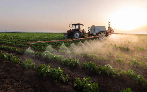 Best Mosquito Control Services  in Charlestown, MD