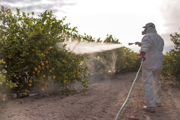 Best Mosquito Control Services  in Charlestown, MD