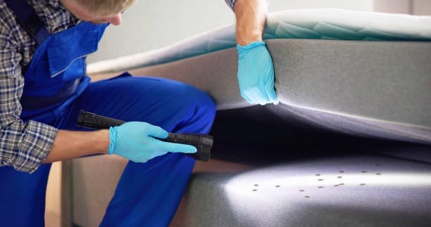 Best Pest Control for Homes  in Charlestown, MD