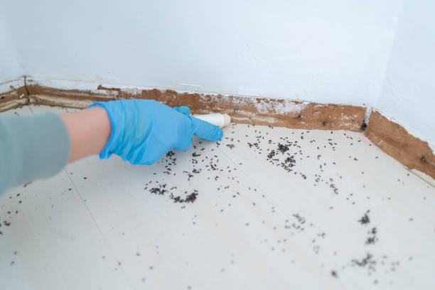 Best Pest Inspection Near Me  in Charlestown, MD