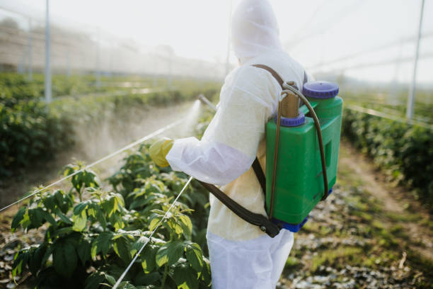 Best Exterminator Services  in Charlestown, MD